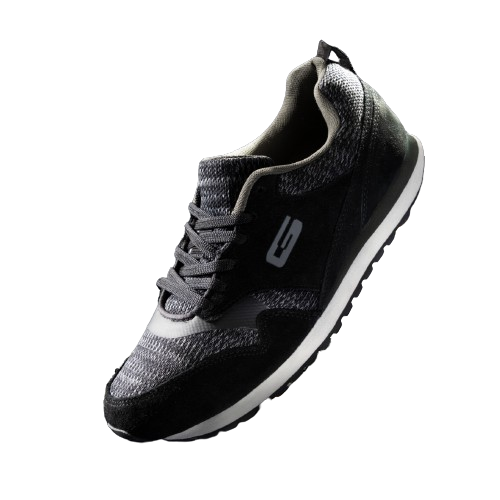 shoe
